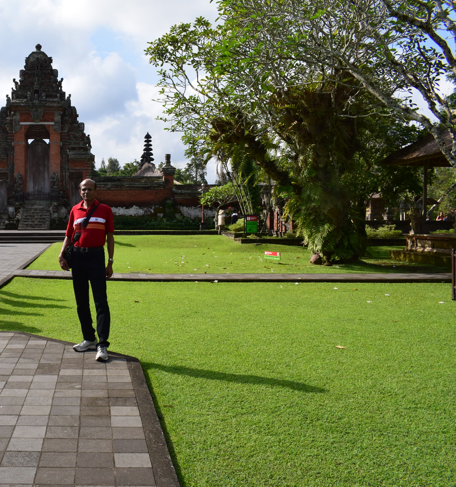 Standing on a lawn beside a stone path, with a tiered temple gateway and tall trees behind.
